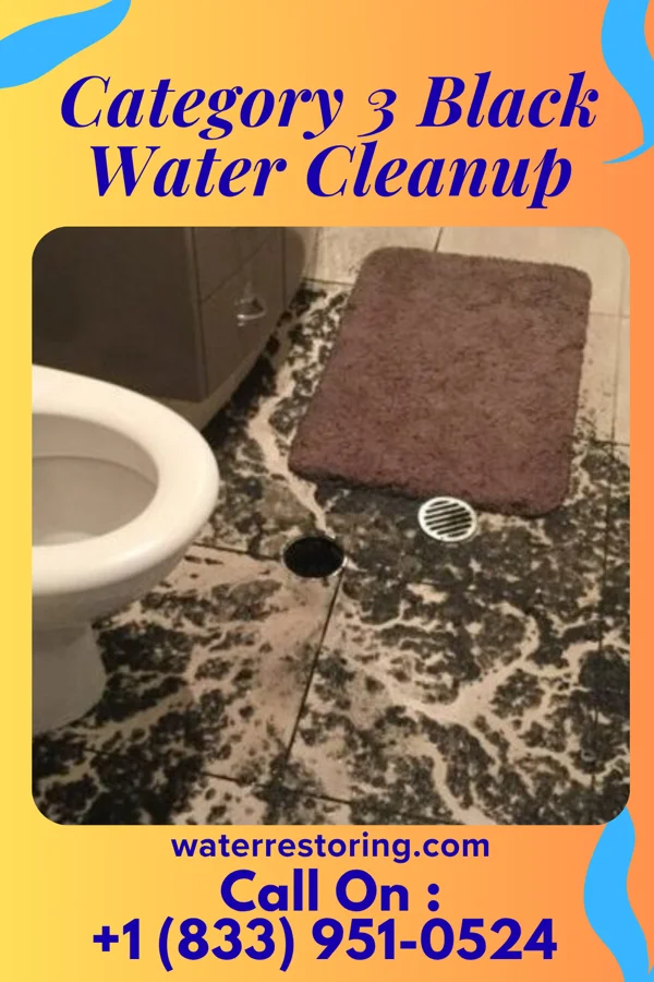 Category 3 Black Water Cleanup in Wall Lake, IA